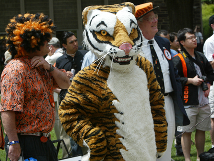 p-rade preview.jpg