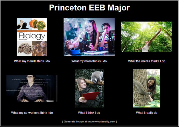 Princeton EEB Major
