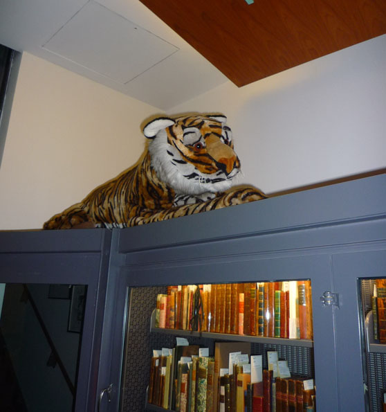 sidetiger Cotsen Children’s Library