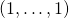 \left( 1, \dots, 1 \right)