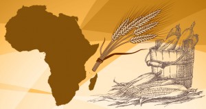 A Princeton University research team has created a readily transferable method for conservation planners trying to anticipate how agriculture will be affected by such adaptations. The tested their model by studying wheat and maize production in South Africa. (Image source: WWS)