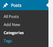Posts menu, Categories and Post Tags highlighted