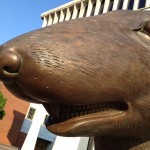 Close up of rat sculpture