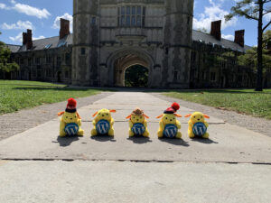 Five stuffed WordPress mascots in front of Blair Arch