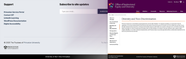 A screenshot of the Diversity and Non-Discrimination page of the Office of Institutional Equity and Diversity website. The wider version of this image includes the new footer link in a black bar at the bottom of a WordPress site.